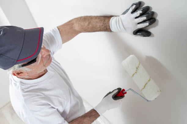 Professional Mold Removal in Hamtramck, MI