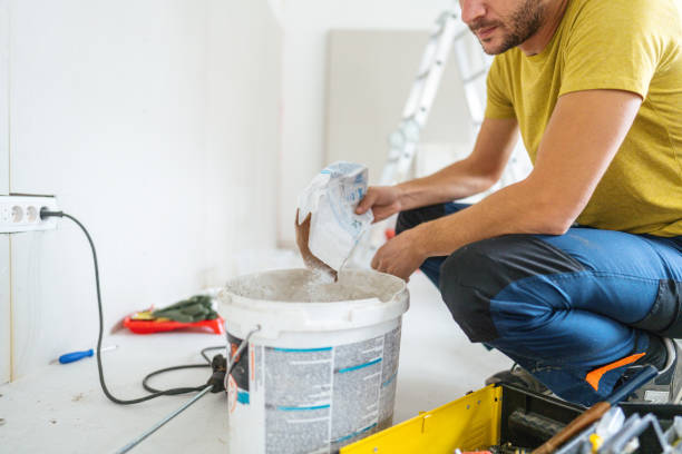 Best Emergency Mold Remediation  in Hamtramck, MI